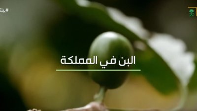 القهوة السعودية