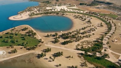 VisitSaudi | Seas, greenery, trees, and golden sands. Saudi Arabia’s nature is full of beauty waiting to be explored.