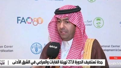 المملكة
